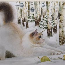 Схема вышивки «Gato.»