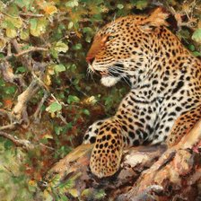 Схема вышивки «№2340009»