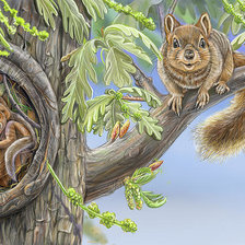 Схема вышивки «№2340273»