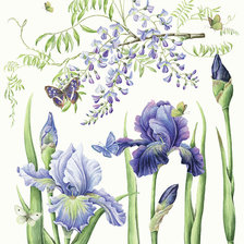 Схема вышивки «№2340289»