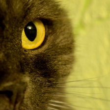 Схема вышивки «Взгляд»