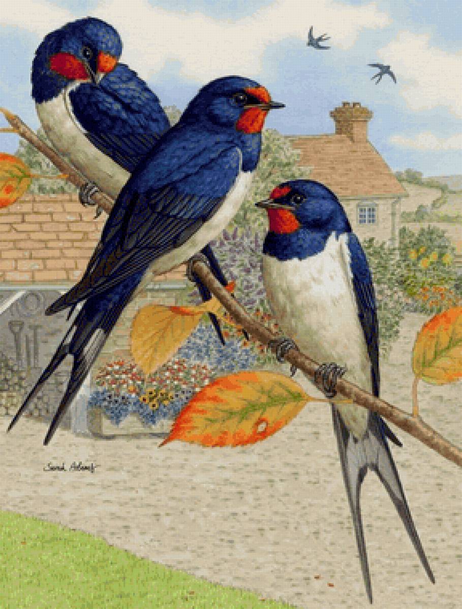 Pássaros. - pássaros. casa. - предпросмотр