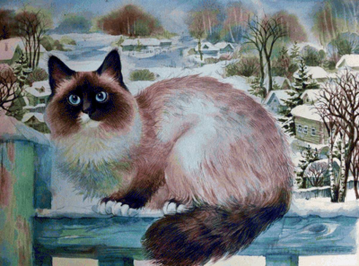 Gato. - animais. - предпросмотр