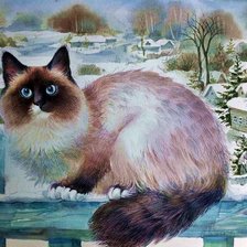 Схема вышивки «Gato.»