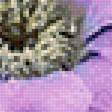 Предпросмотр схемы вышивки «Кактус» (№2340893)