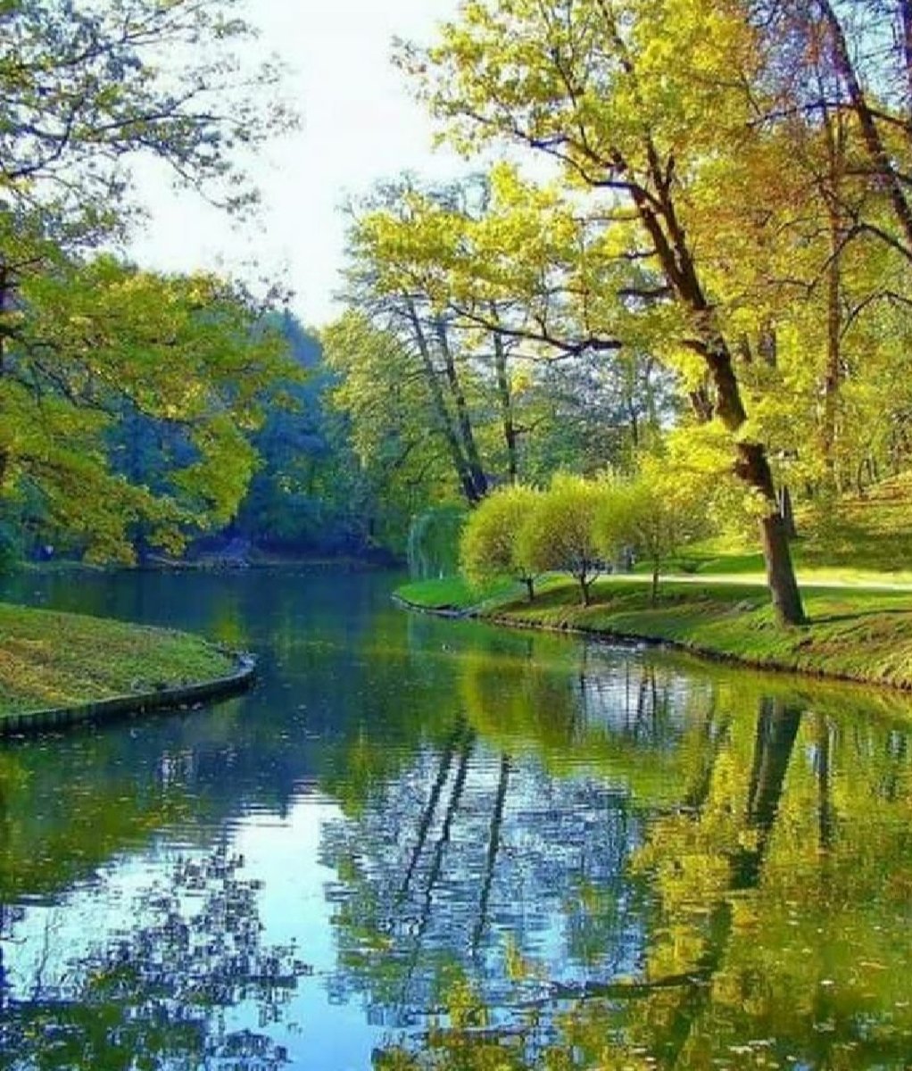 Зелёная весна - оригинал