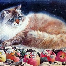 Схема вышивки «Gato.»