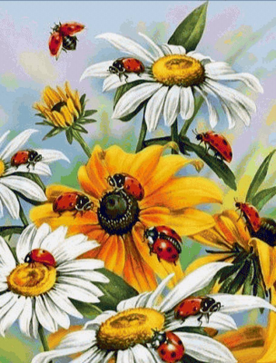 Mariquitas - naturaleza - предпросмотр