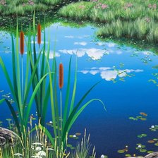 Схема вышивки «riachuelo4»