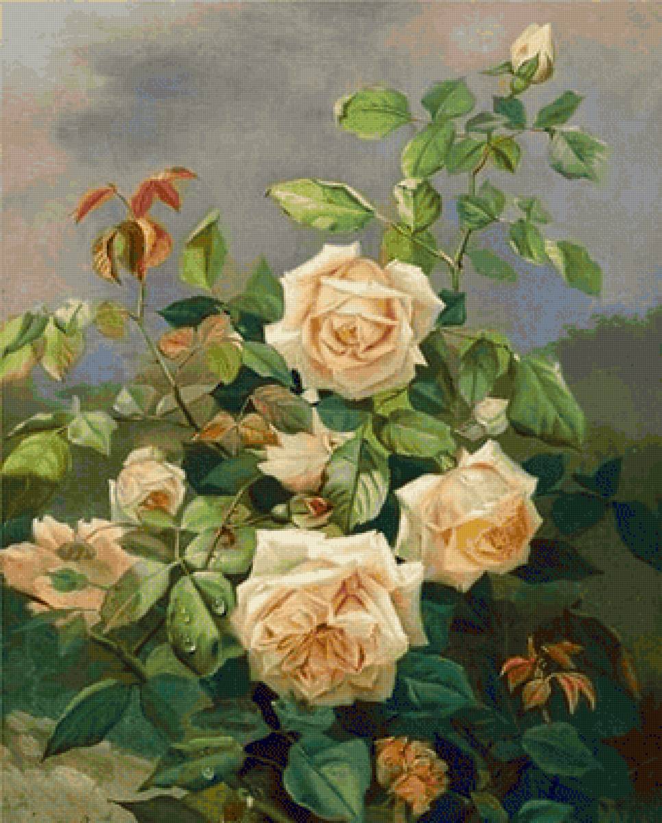 Rosas salmon - rosas - предпросмотр