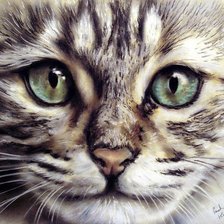 Схема вышивки «gato3»