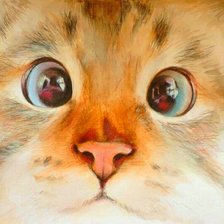 Схема вышивки «сема»