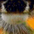 Предпросмотр схемы вышивки «№2341598»