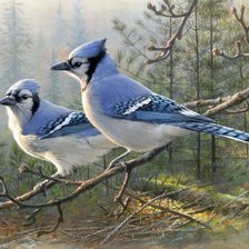 Схема вышивки «Лесные птицы»