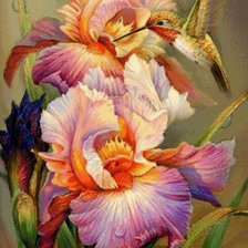Схема вышивки «Ирисы с Колибри»