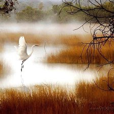 Схема вышивки «№2341658»