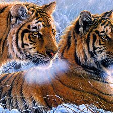 Схема вышивки «Серия "Хищники". Тигры»