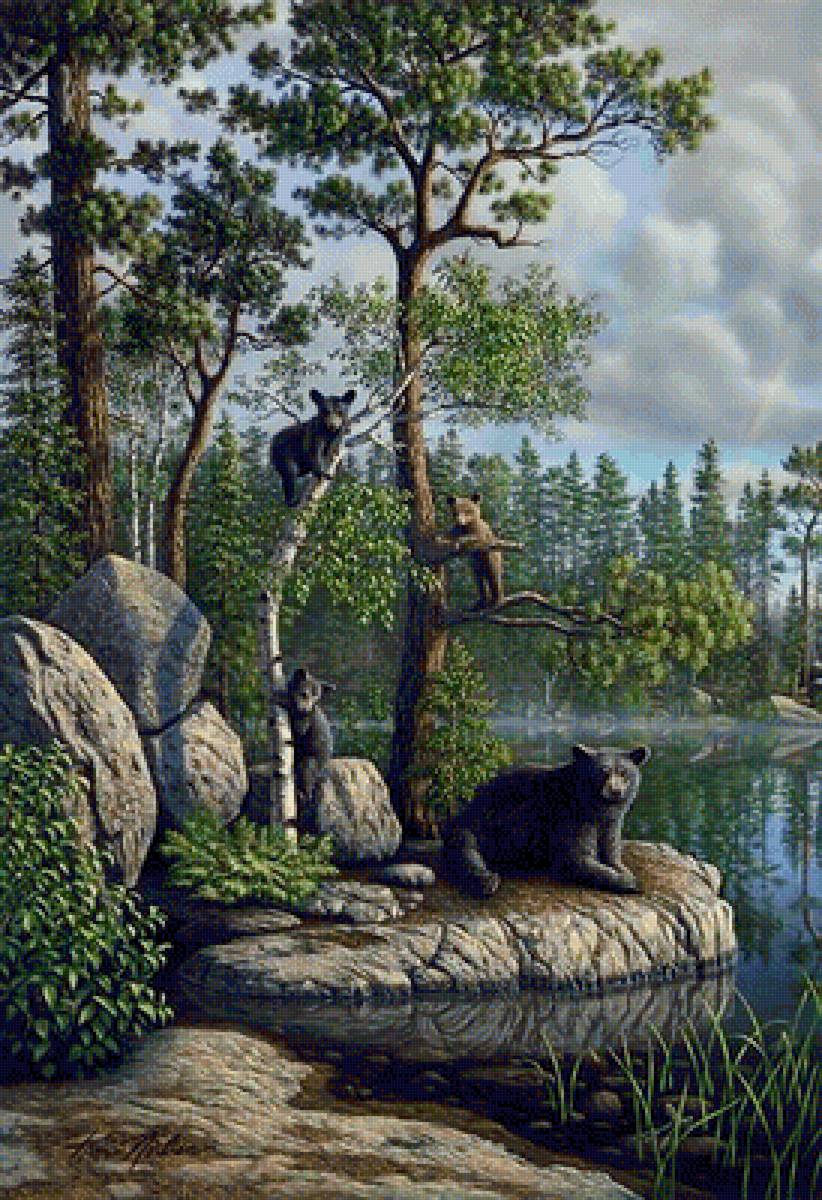 медведи на озере - животные - предпросмотр