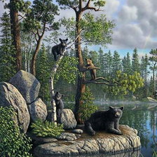 медведи на озере