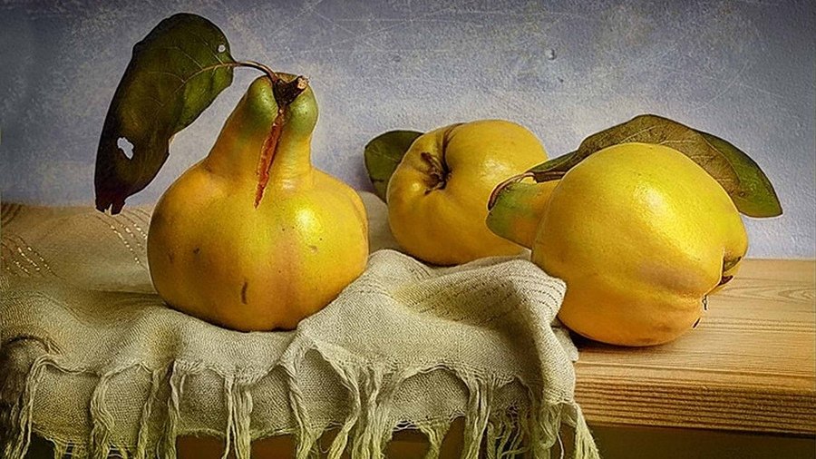 айва - айва.желтая.скатерть. - оригинал