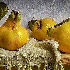 Схема вышивки «айва»