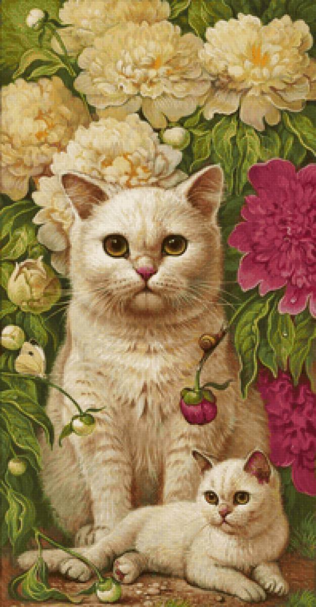 Gatos e flores. - animais.flores. - предпросмотр