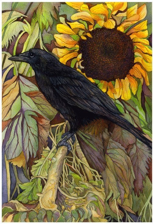 Corvo . - flores., pássaro - оригинал
