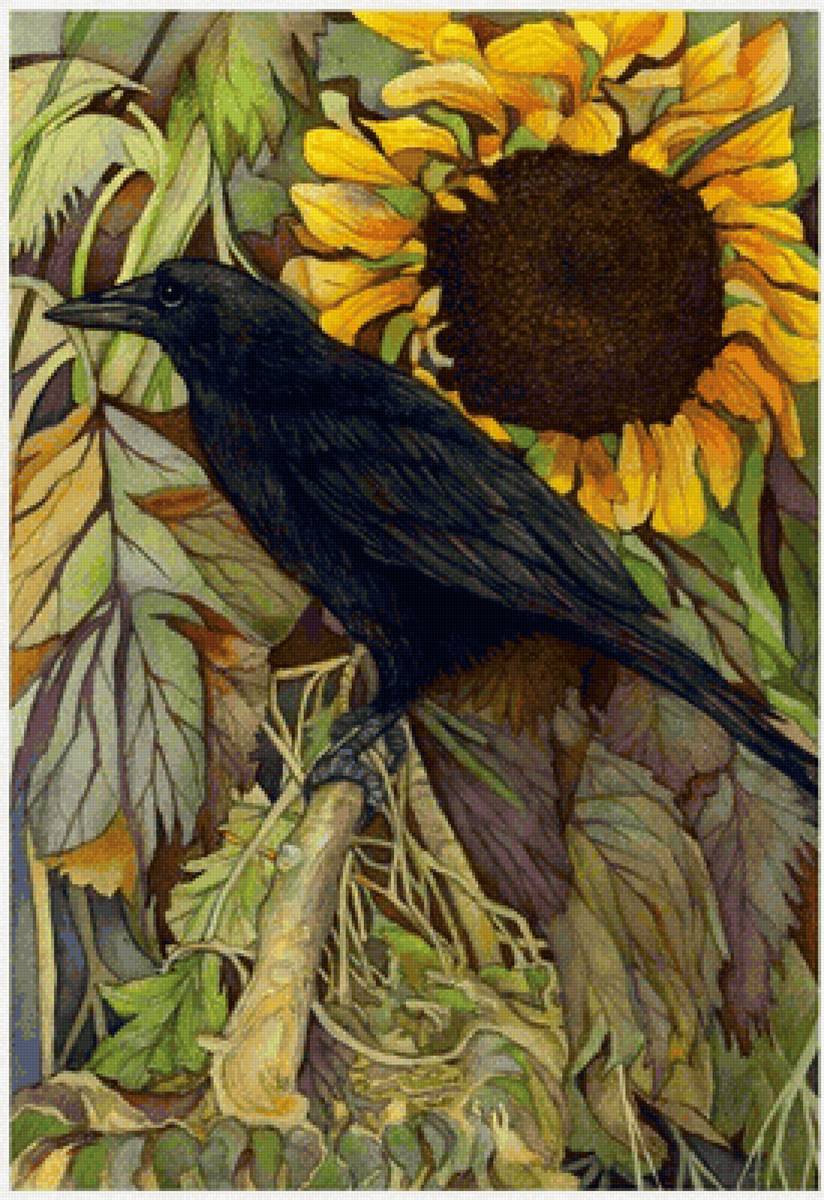 Corvo . - flores., pássaro - предпросмотр