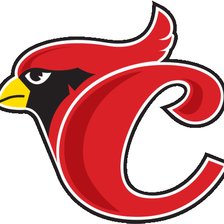 Схема вышивки «cardenales»