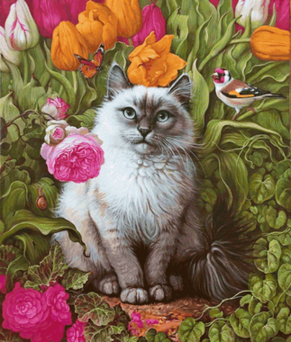 Gato. - animais .flores .pássaro. - предпросмотр