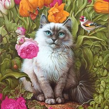 Схема вышивки «Gato.»