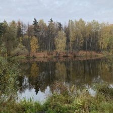 Схема вышивки «Природа»