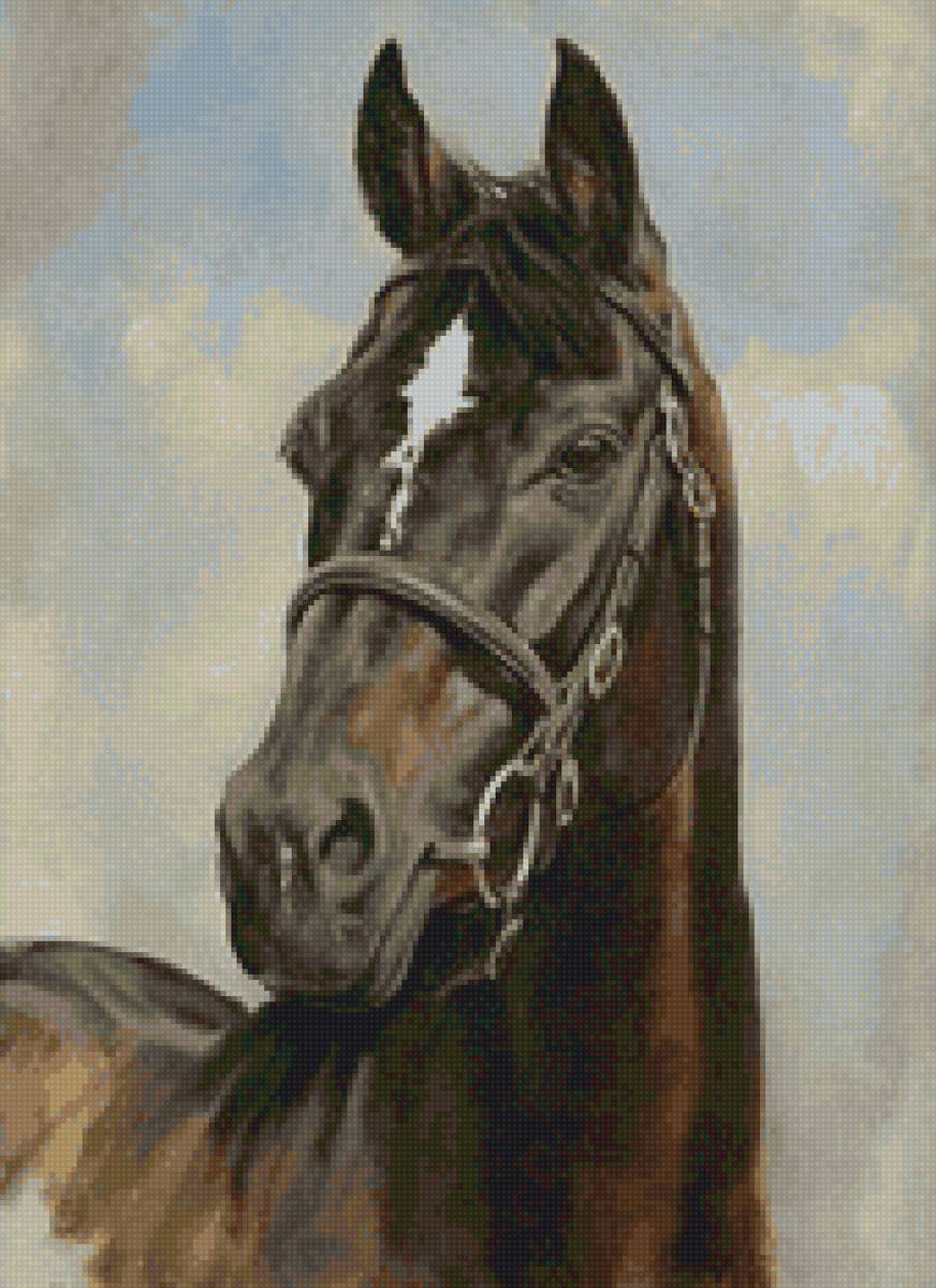 Конь - лошадь, животные, конь, скакун - предпросмотр