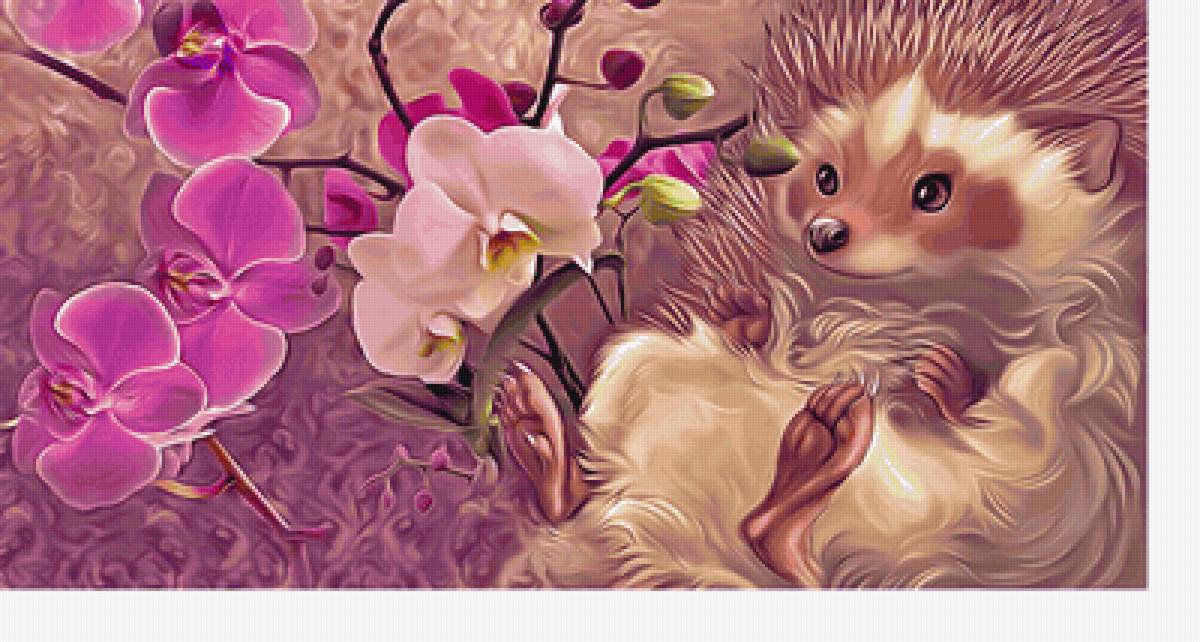 Ёжик и орхидеи - орхидеи, цветы, ежик - предпросмотр