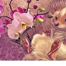 Схема вышивки «Ёжик и орхидеи»