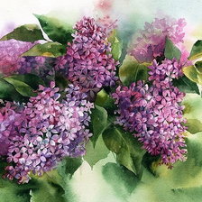 Схема вышивки «Сирень»