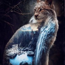 Схема вышивки «рысь»