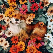 Схема вышивки «Лиса в цветах»