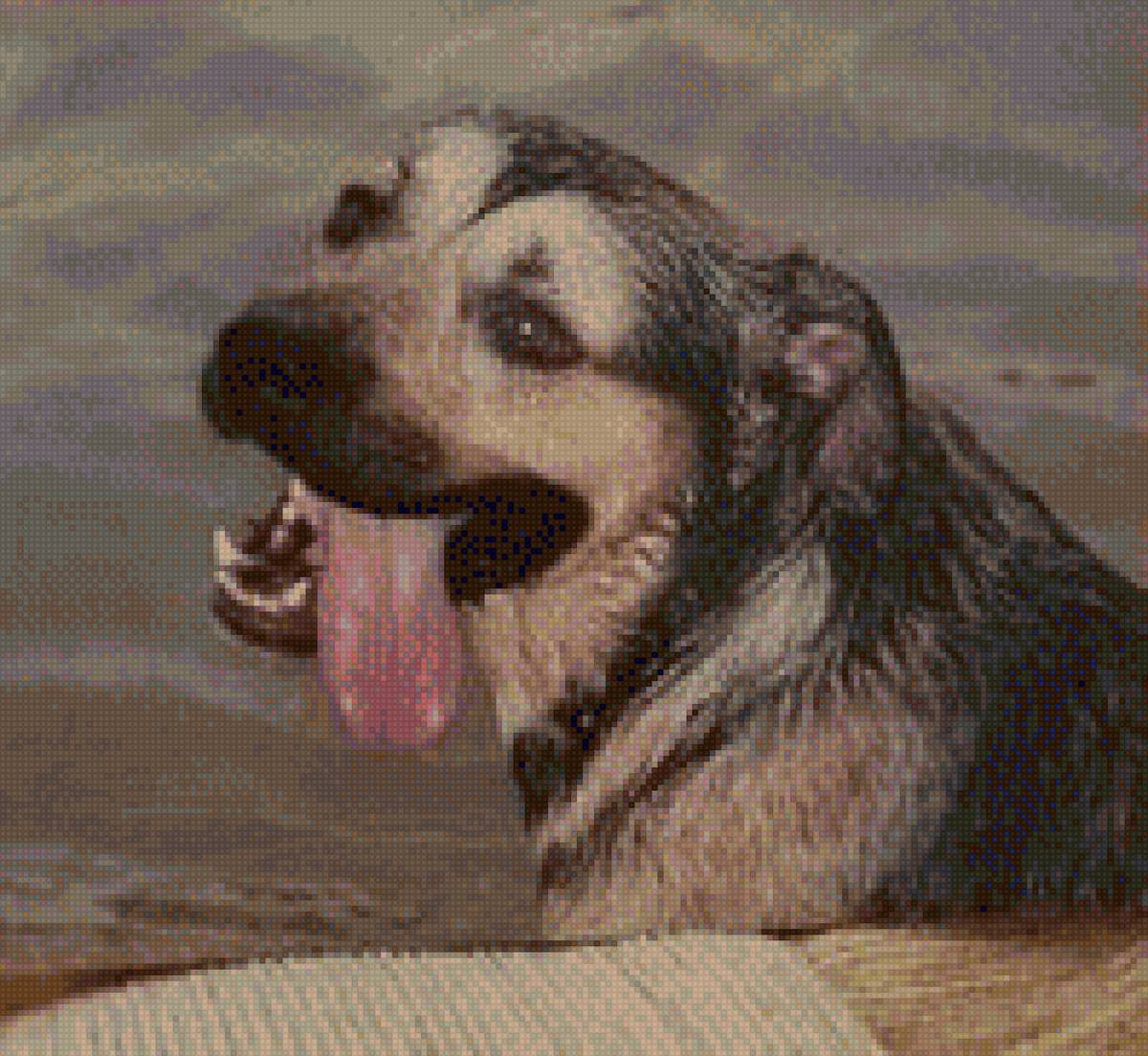 rosa - предпросмотр