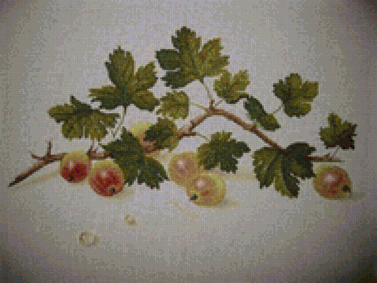 ягоды - лето, урожай, ягоды - предпросмотр