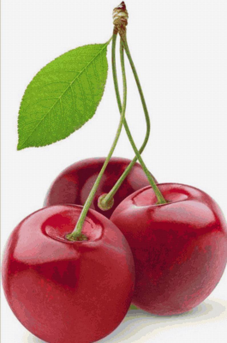 Вишни - вишня - предпросмотр