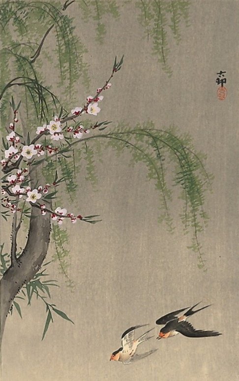 Япония, сакура - сакура, япония, птицы, ласточки - оригинал