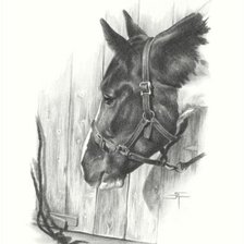 Схема вышивки «художник Sami Thorpe»