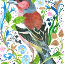 Схема вышивки «Pássaro.»