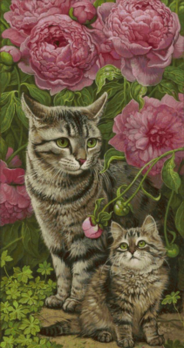 Gatos. - animais.flores.rosas. - предпросмотр