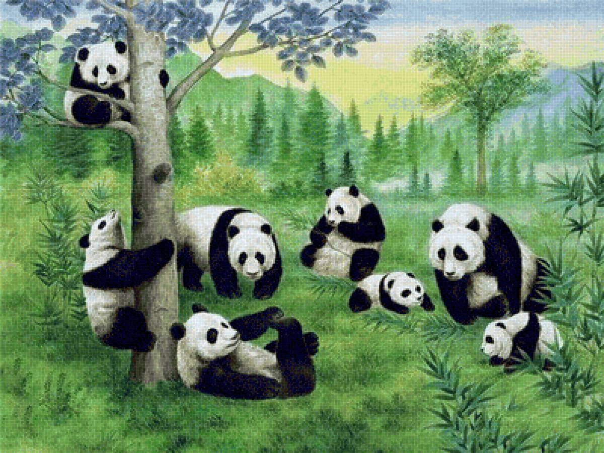 pandas - paisaje - предпросмотр