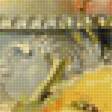 Предпросмотр схемы вышивки «натюрморт» (№2345627)