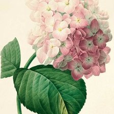 Схема вышивки «Цветок»