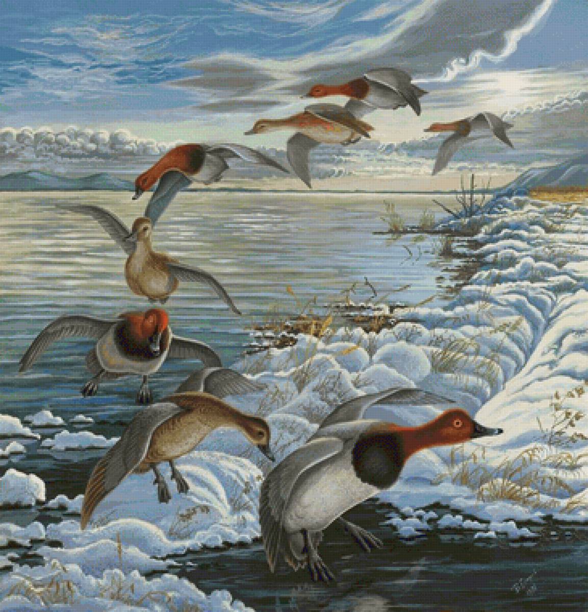 Voo dos patos. - aves.lago.gelo. - предпросмотр