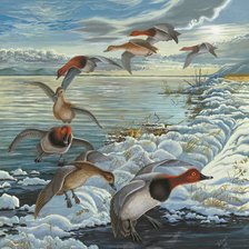 Схема вышивки «Voo dos patos.»